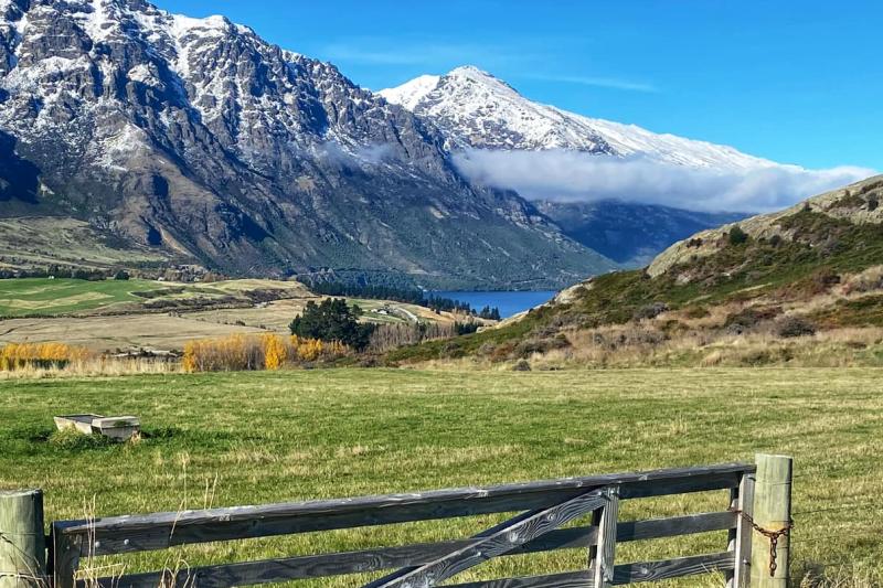 NZ