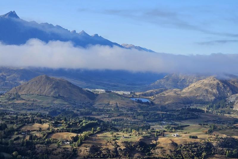 NZ