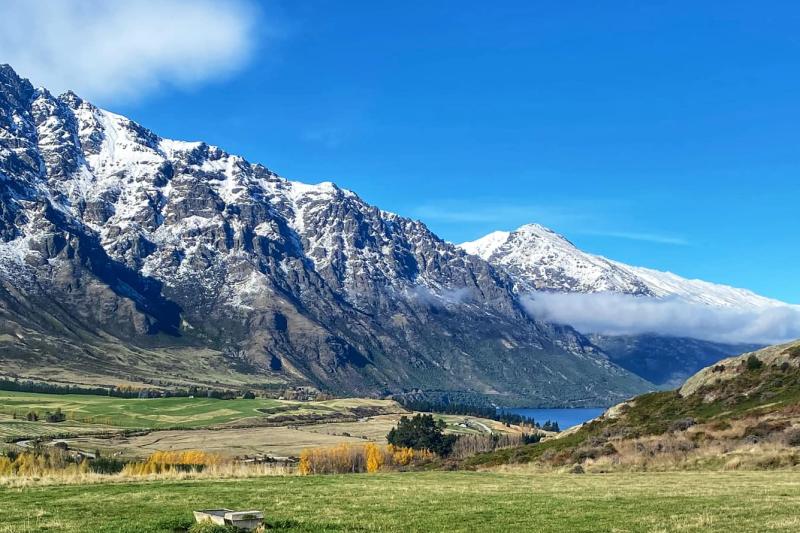 NZ